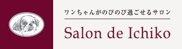 Salon de Ichiko