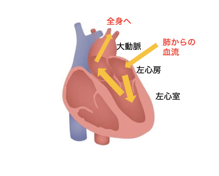 HCMはどのように扱われますか?