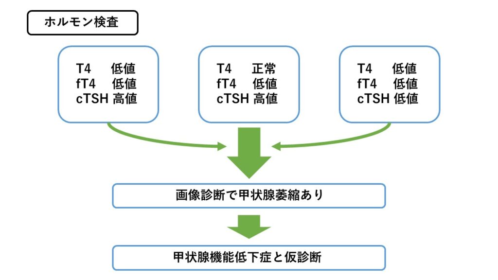 甲状腺機能低下症に対する検査フロー